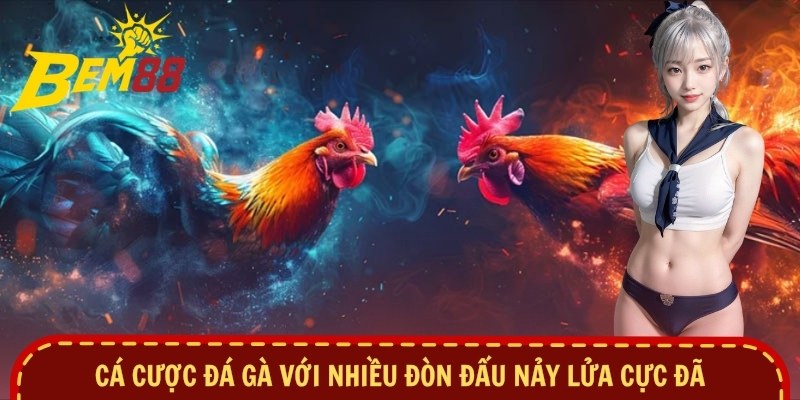 Cá cược đá gà với nhiều đòn đấu nảy lửa cực đã