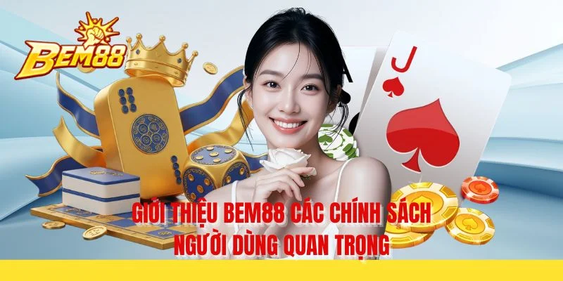 Giới thiệu BEM88 các chính sách người dùng quan trọng