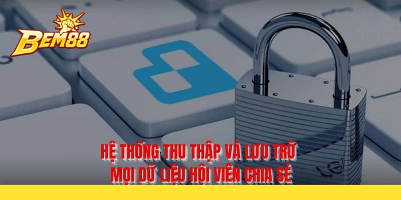 Hệ thống thu thập và lưu trữ mọi dữ liệu hội viên chia sẻ